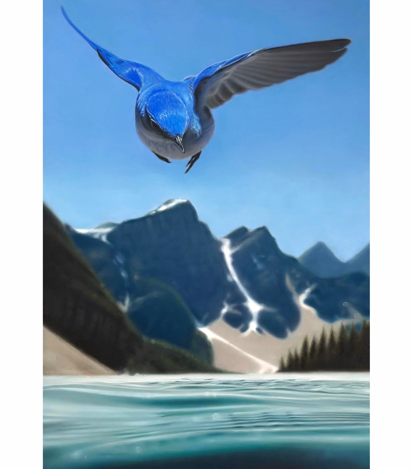 Bluebird - Large Print