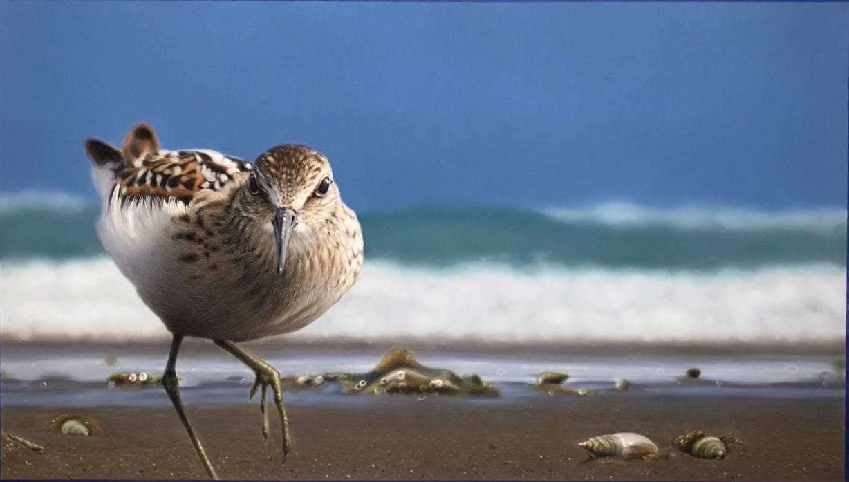 BEACHCOMBER - Giclee Print