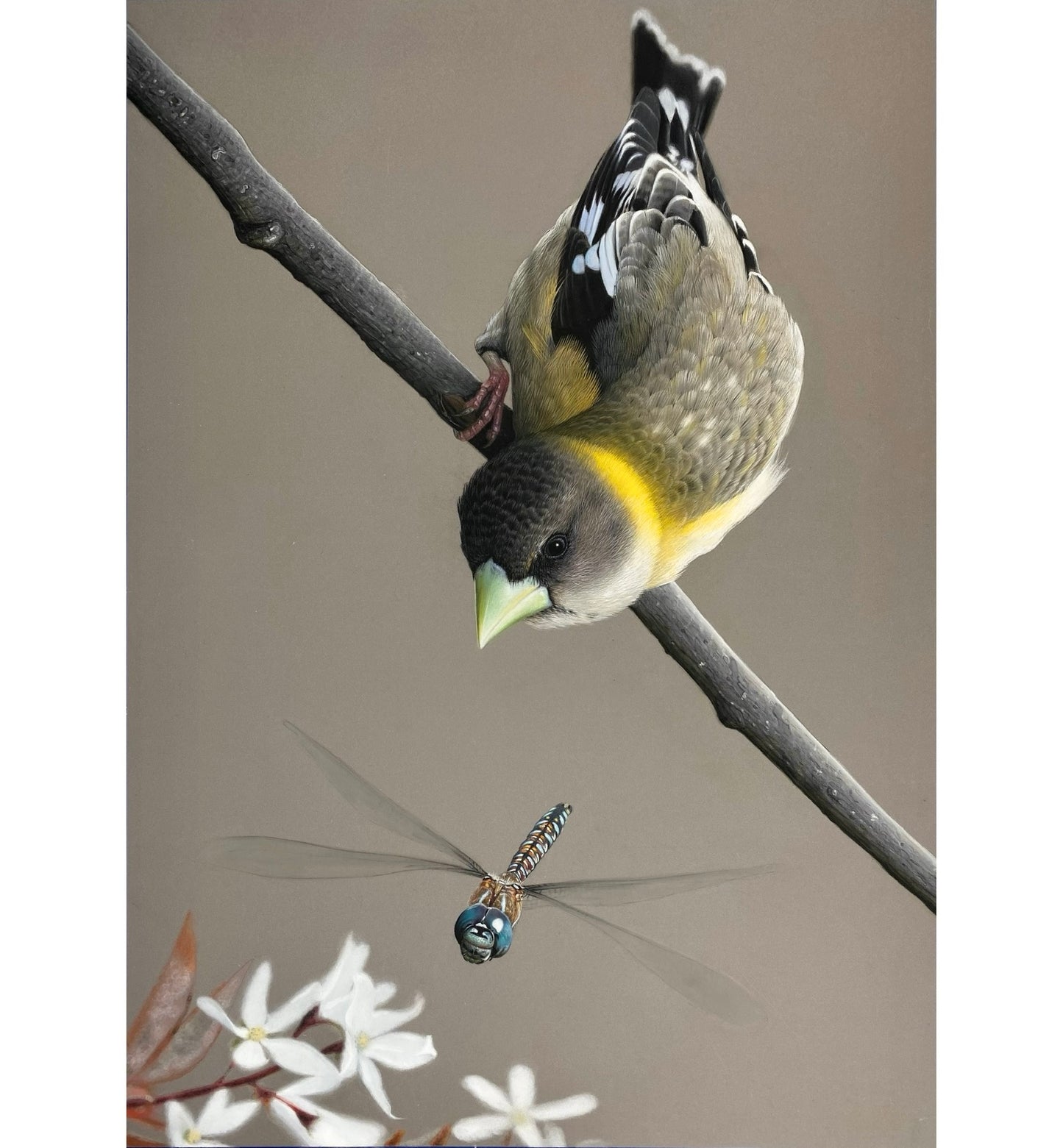 Balance - Large Print