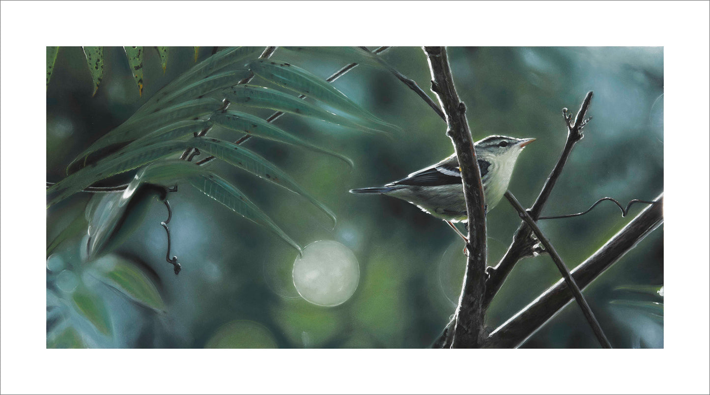 CERULEAN - Giclee Print