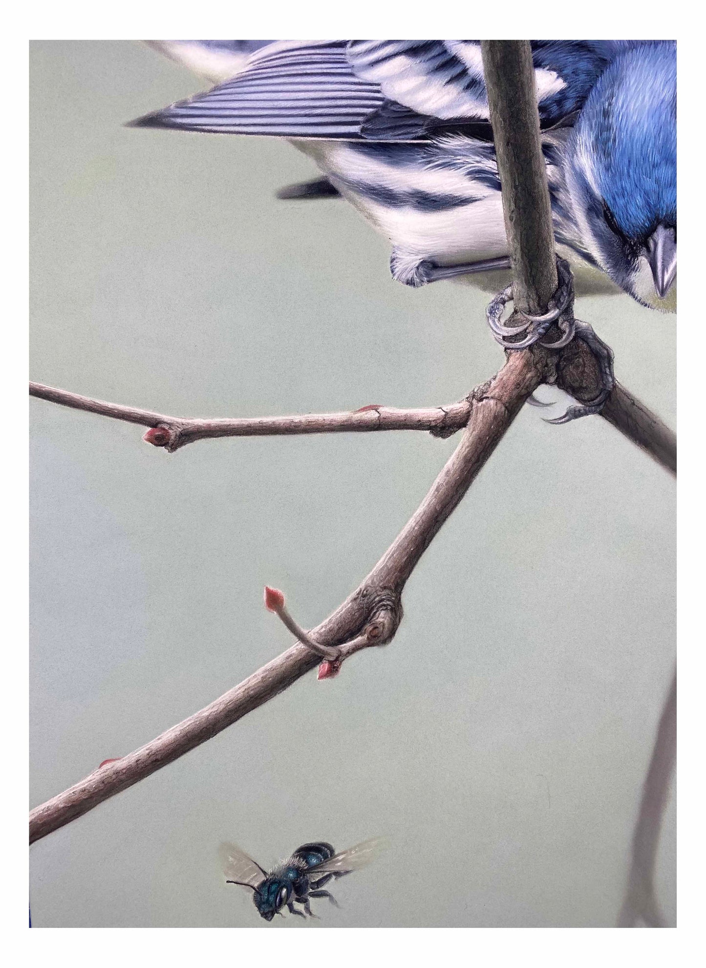 IN BLUE - Original
