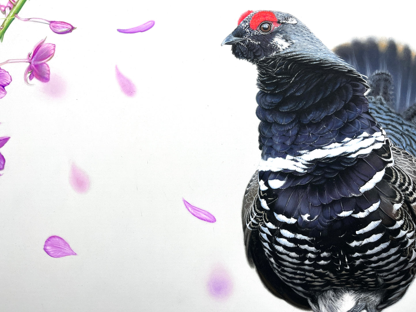 Spruce Grouse with Fireweed - Original