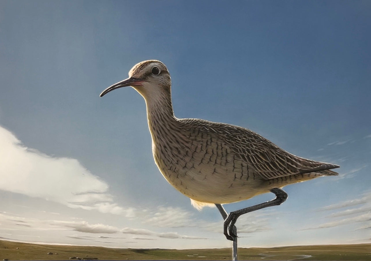 Bright Side - Eskimo Curlew | Mini Print