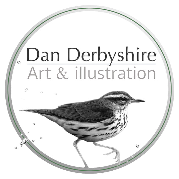 Dan Derbyshire Art