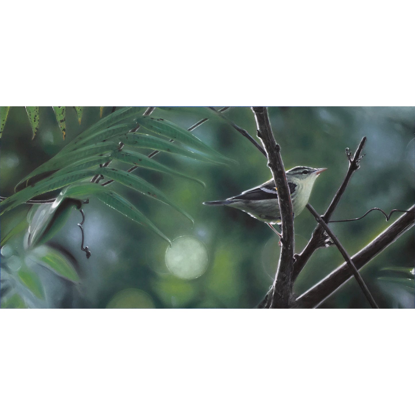 CERULEAN - Archival Print